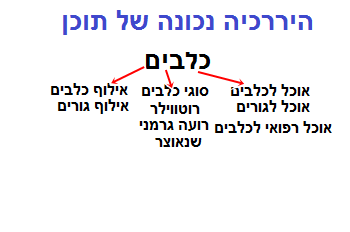 מבנה נכון של תוכן האתר