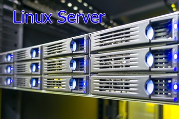 וורדפרס שרת אחסון